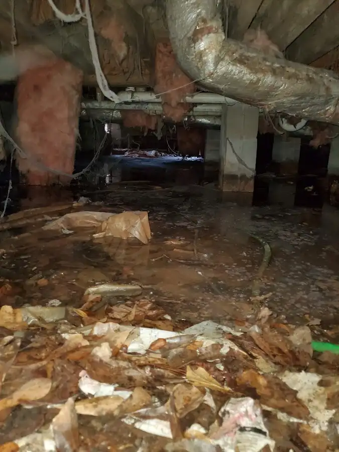 Crawl space flood assessment for Commercial Water Damage Restoration in West Clarkston-Highland