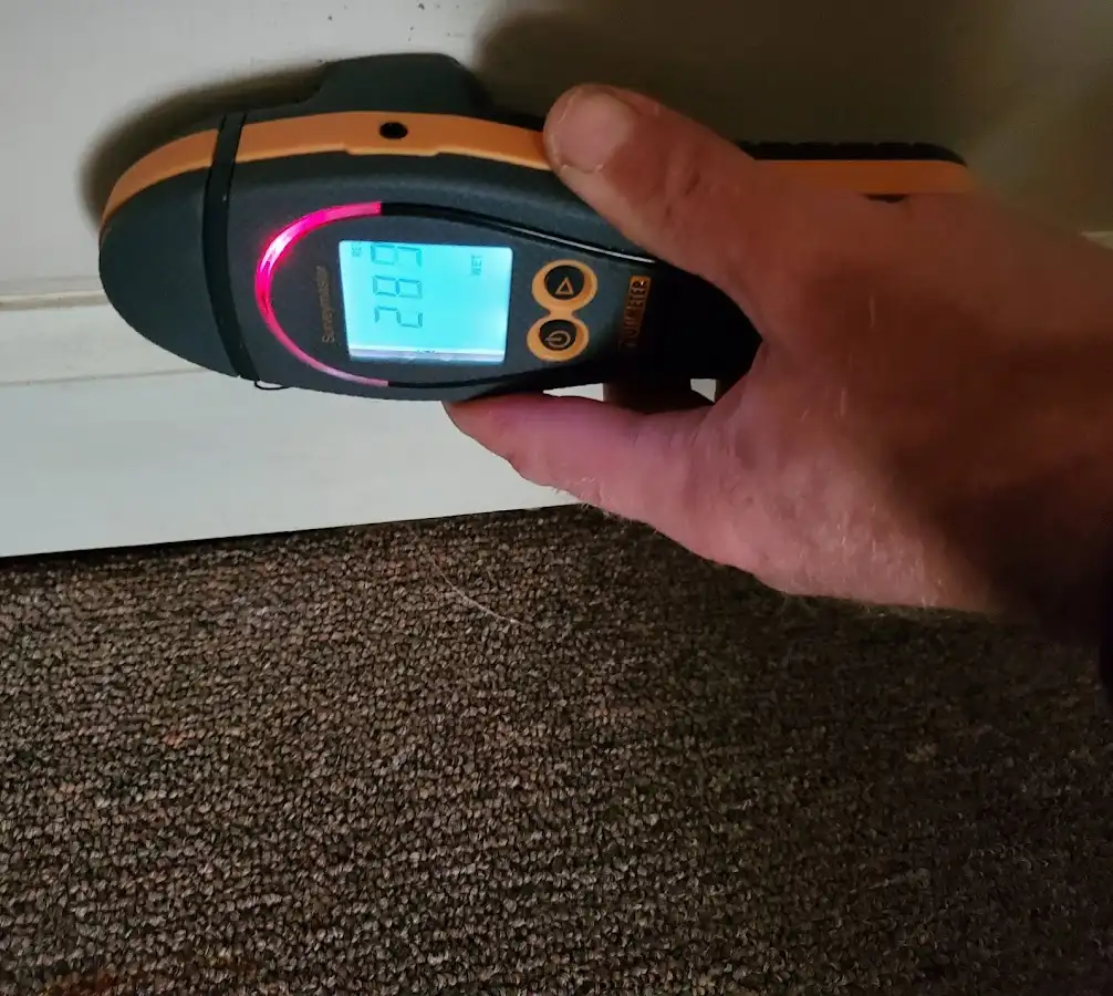 Moisture detection at baseboard during Sewage Cleanup & Sanitation in West Clarkston-Highland